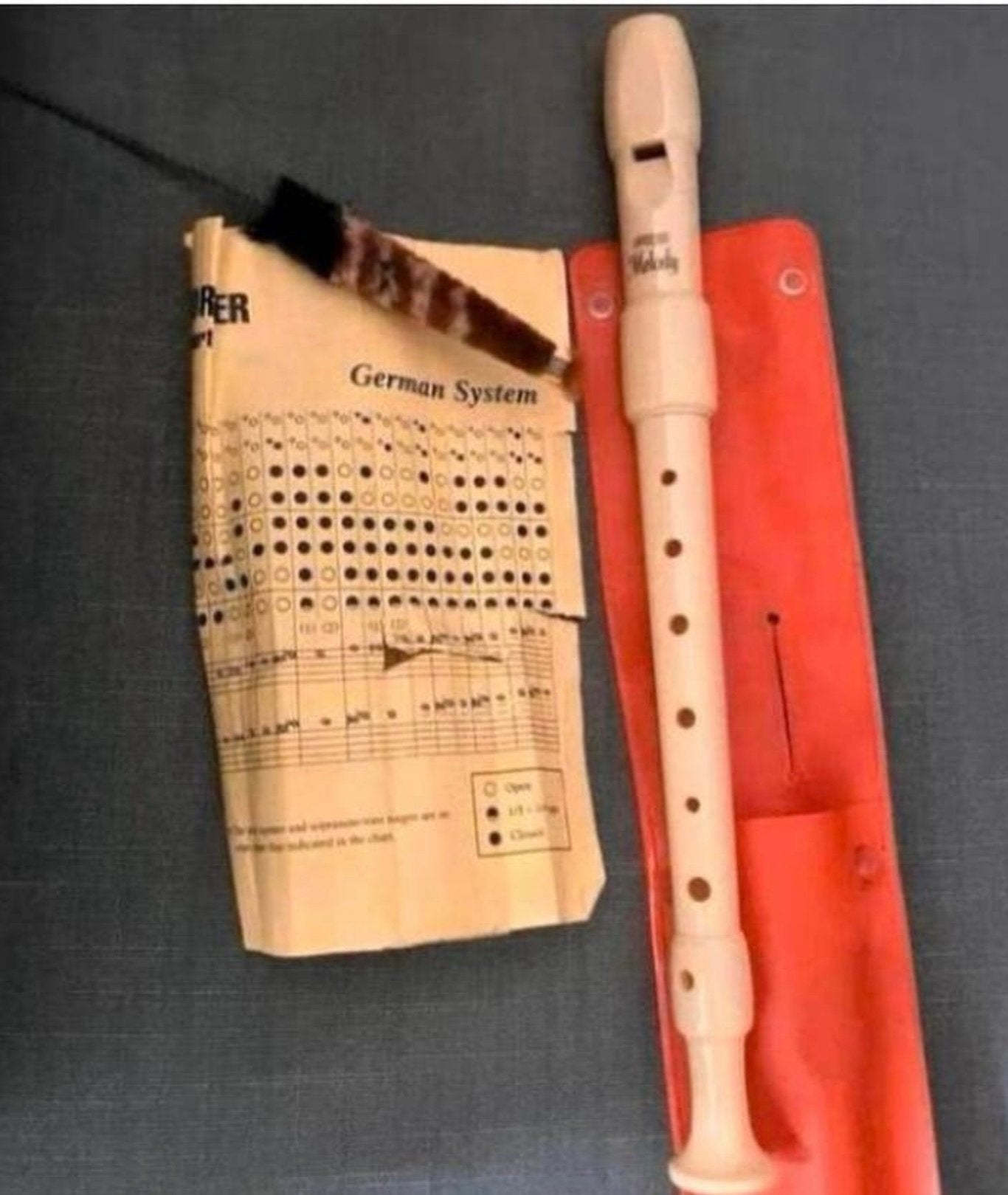 Höhner blokfluit 9516inclusief hoes,rager,boekje,Z.G.A.N., Ophalen of Verzenden, Zo goed als nieuw, Sopraan of Sopranino, Met koffer, hoes of etui