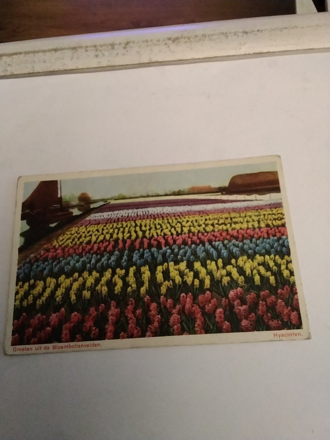 Oude kaart Hyacinten bloembollenvelden Nederland 1946, Ophalen of Verzenden