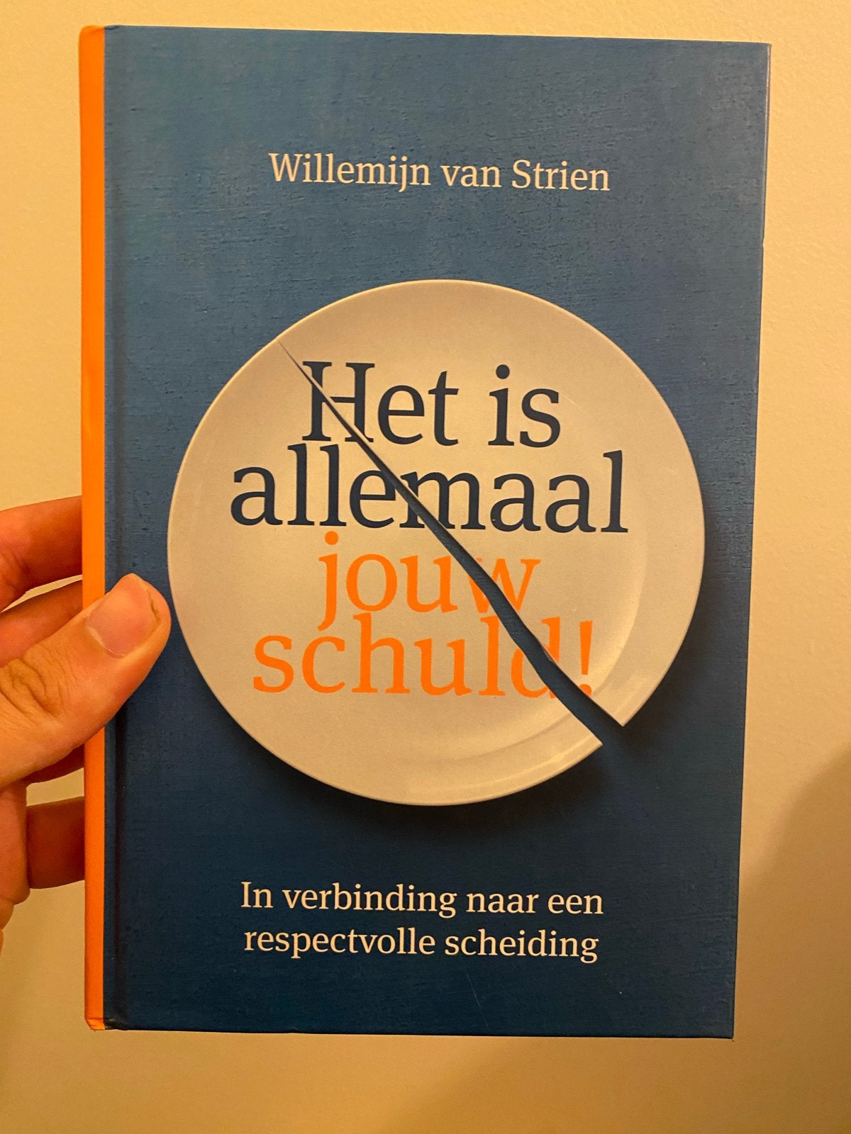 Het is allemaal jouw schuld! - Willemmijn van Strien, Ophalen of Verzenden, Zo goed als nieuw