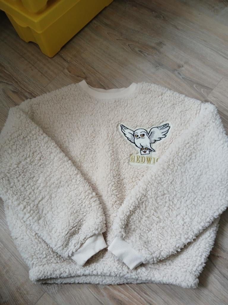 Harry Potter Hedwig trui maat 170 zo goed als nieuw, Kinderen en Baby's, Ophalen, Meisje, Trui of Vest, Zo goed als nieuw
