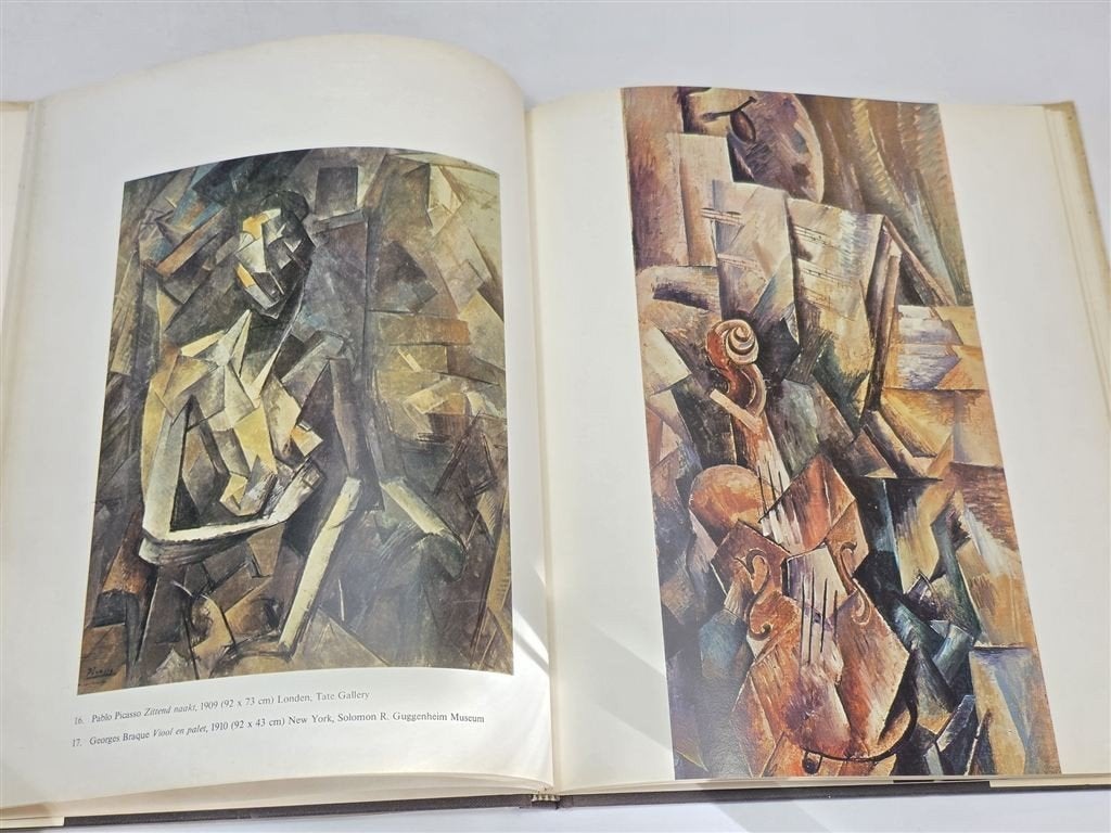 Picasso en het Kubisme — Kunststroming & Schilderkunst, Ophalen of Verzenden, Gelezen