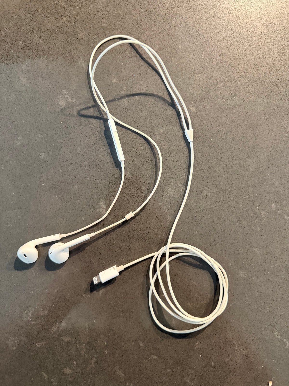 Originele Apple EarPods met Lightning-connector