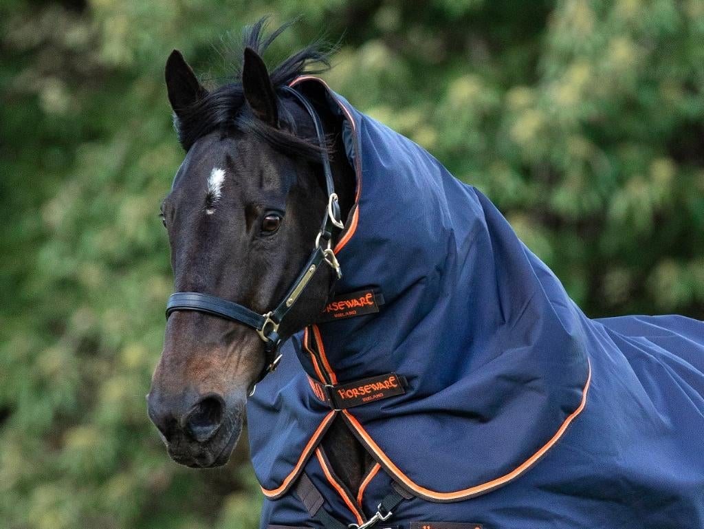 Rambo Original Hood, Hals, Navy / Orange, maat S en XL, Ophalen of Verzenden, Nieuw, Deken