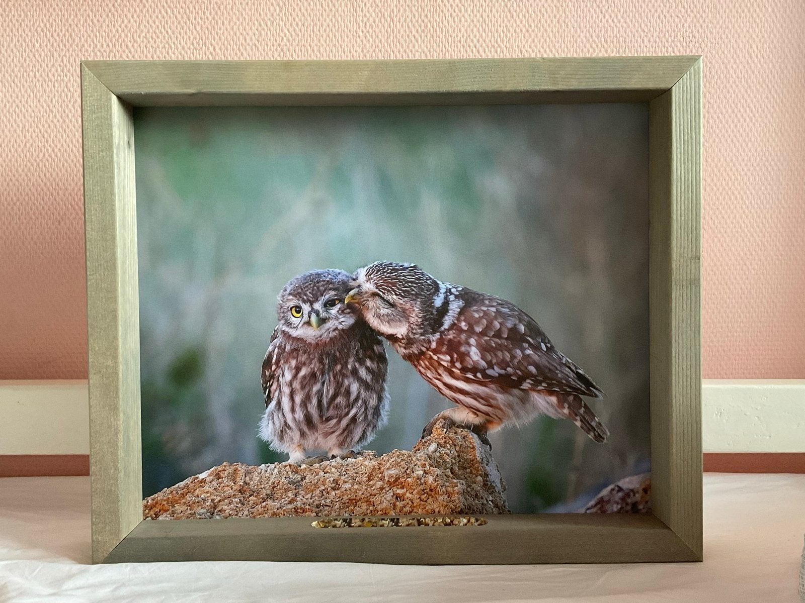 Schattige Uilen houten vogelvoeder lijst- Zo Goed als Nieuw, Tuin en Terras, Ophalen, Zo goed als nieuw