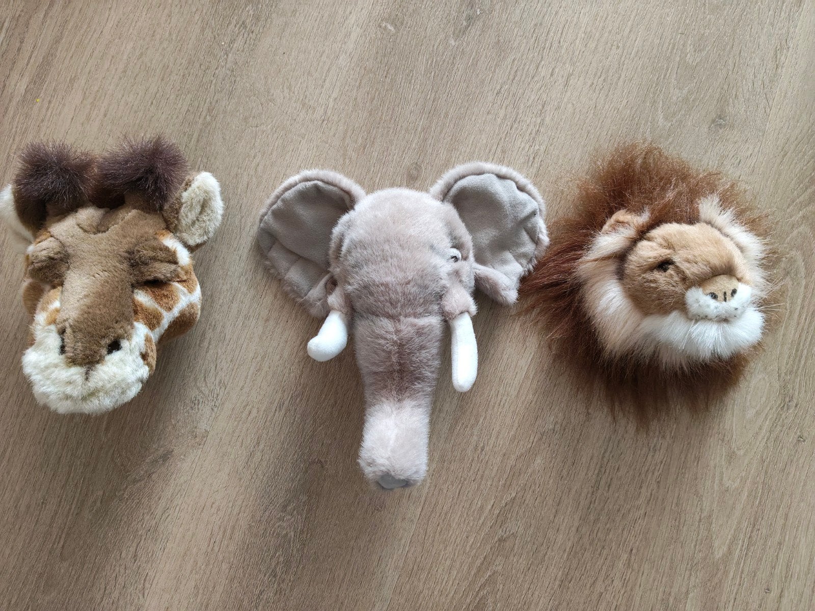 3 dierenkoppen, Ophalen of Verzenden, Zo goed als nieuw, Overige typen