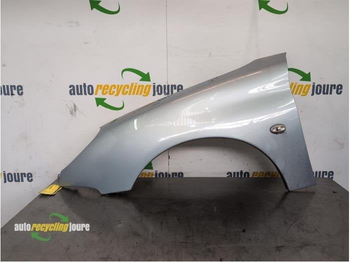 Scherm links-voor van een Peugeot 206 (EYL), Auto-onderdelen, Gebruikt, -, -, -