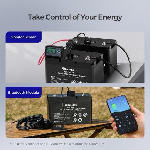 Lithium Accu LiFePO4: 2 12V 100Ah Smart + monitor + charger, Caravans en Kamperen, Camper-accessoires, Ophalen of Verzenden, Zo goed als nieuw