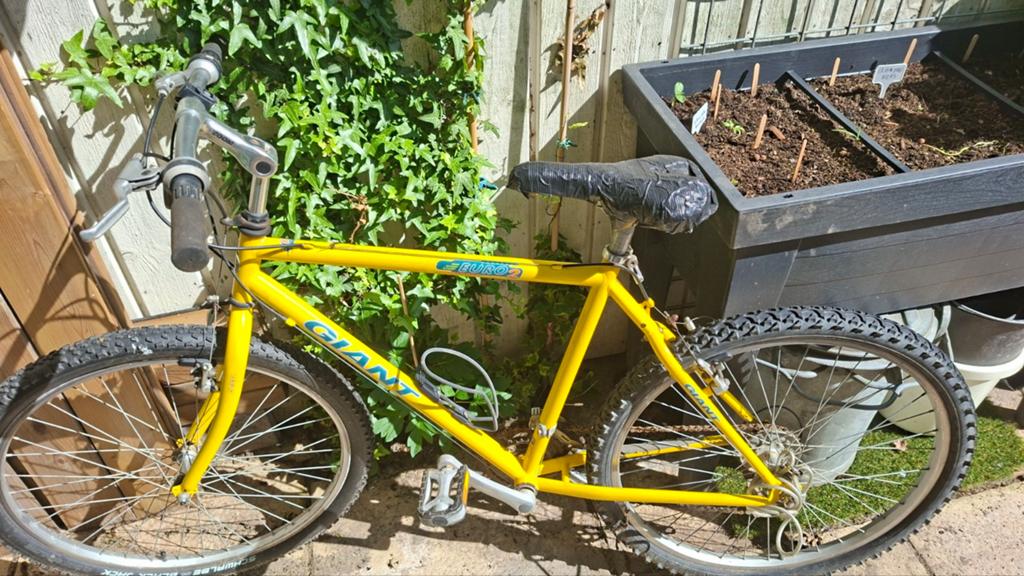 Giant mountainbike, Fietsen en Brommers, Fietsen | Mountainbikes en ATB, 49 tot 53 cm, Ophalen, Gebruikt, Giant