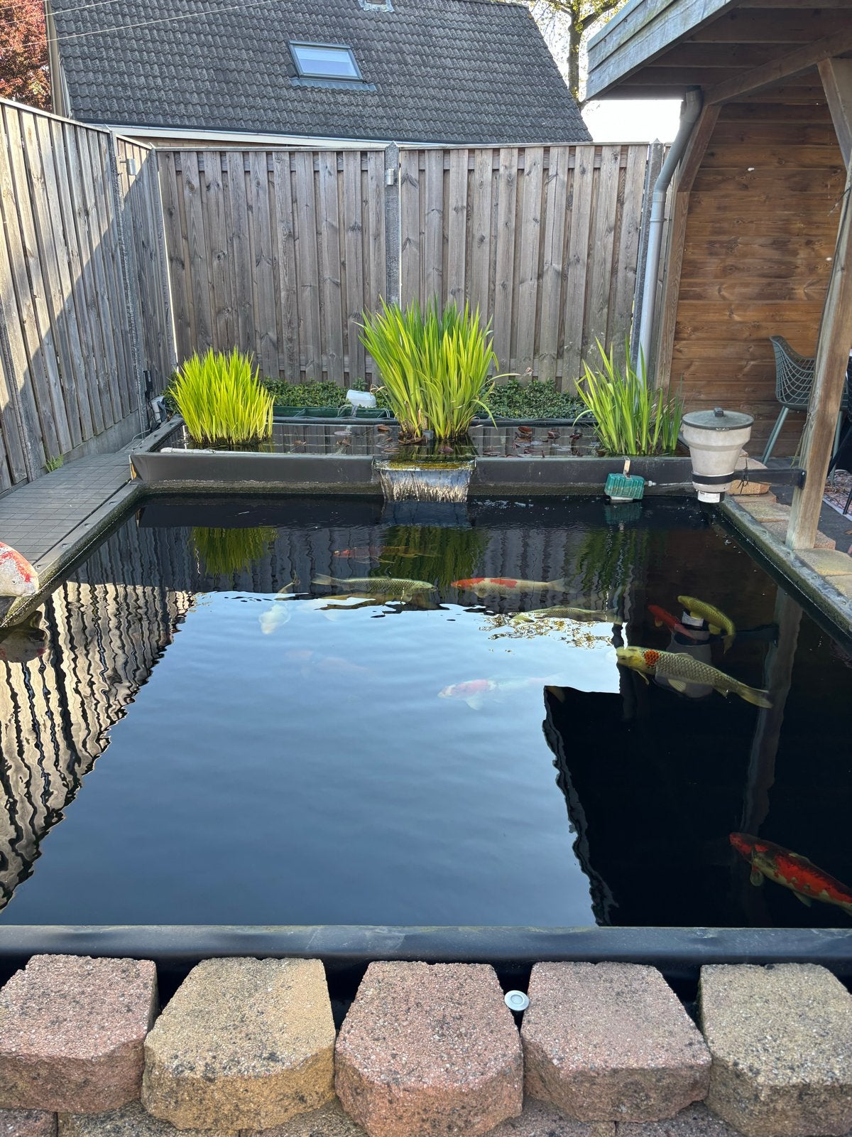 Prachtige Koivijver met filterinstallatie, Tuin en Terras, Vijvers, Ophalen, Gebruikt