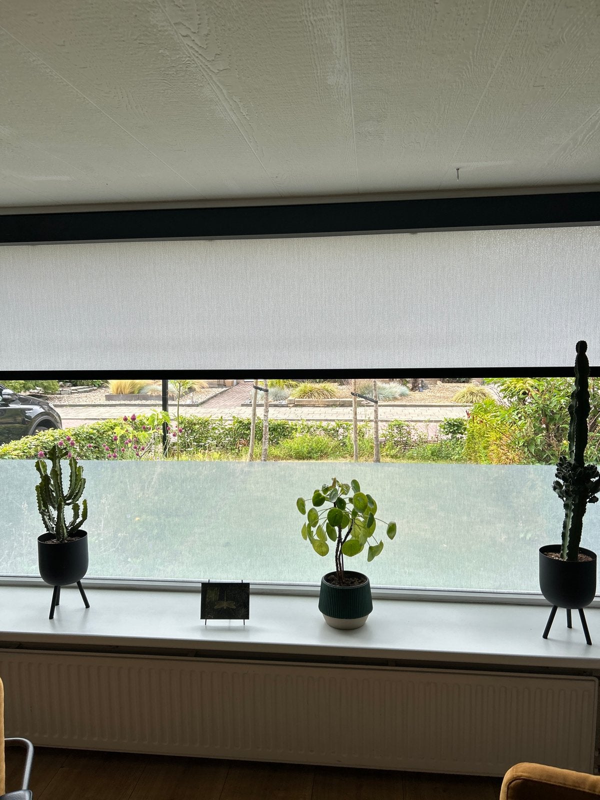 Copahome Rolgordijn - 325 cm breed, 150 cm lang, Ophalen, Overige merken, Rolgordijn, Lichtdoorlatend