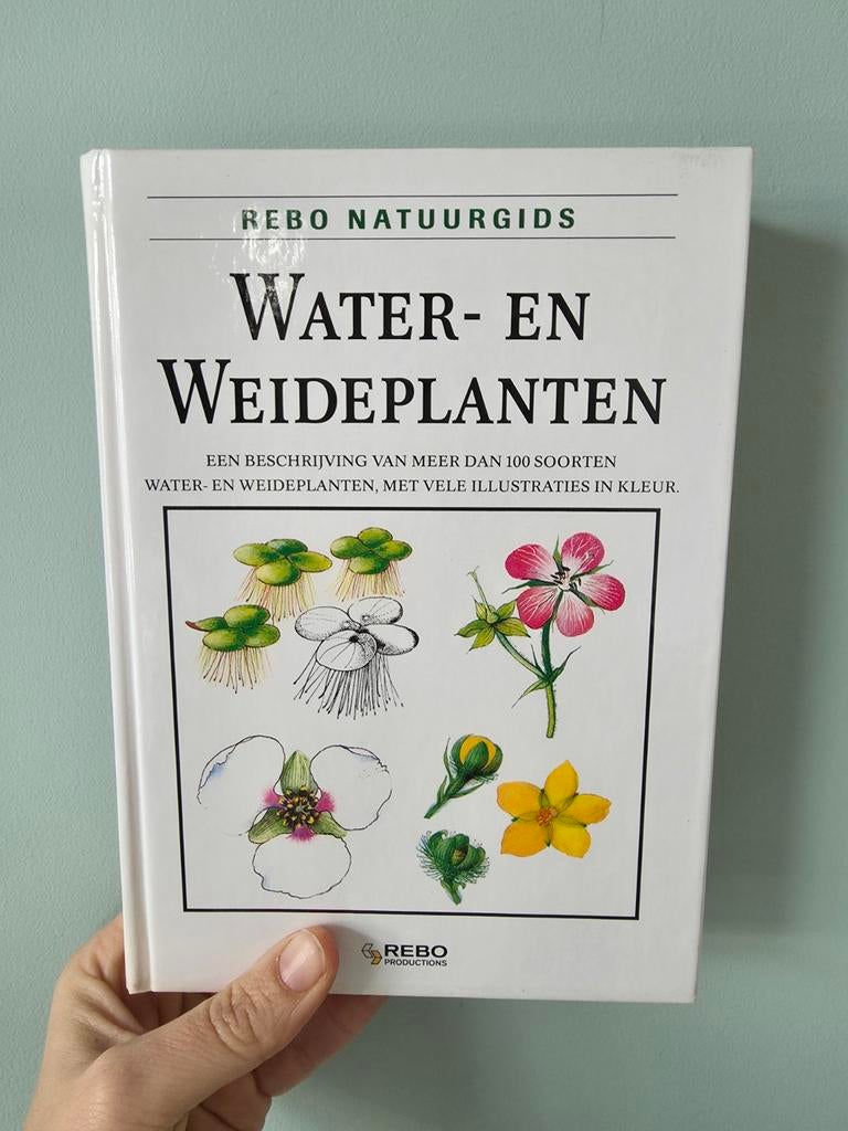 Rebo Natuurgids WATER- EN WEIDEPLANTEN - vintage, Bloemen, Planten en Bomen, Ophalen of Verzenden, Zo goed als nieuw, Václav Větvička