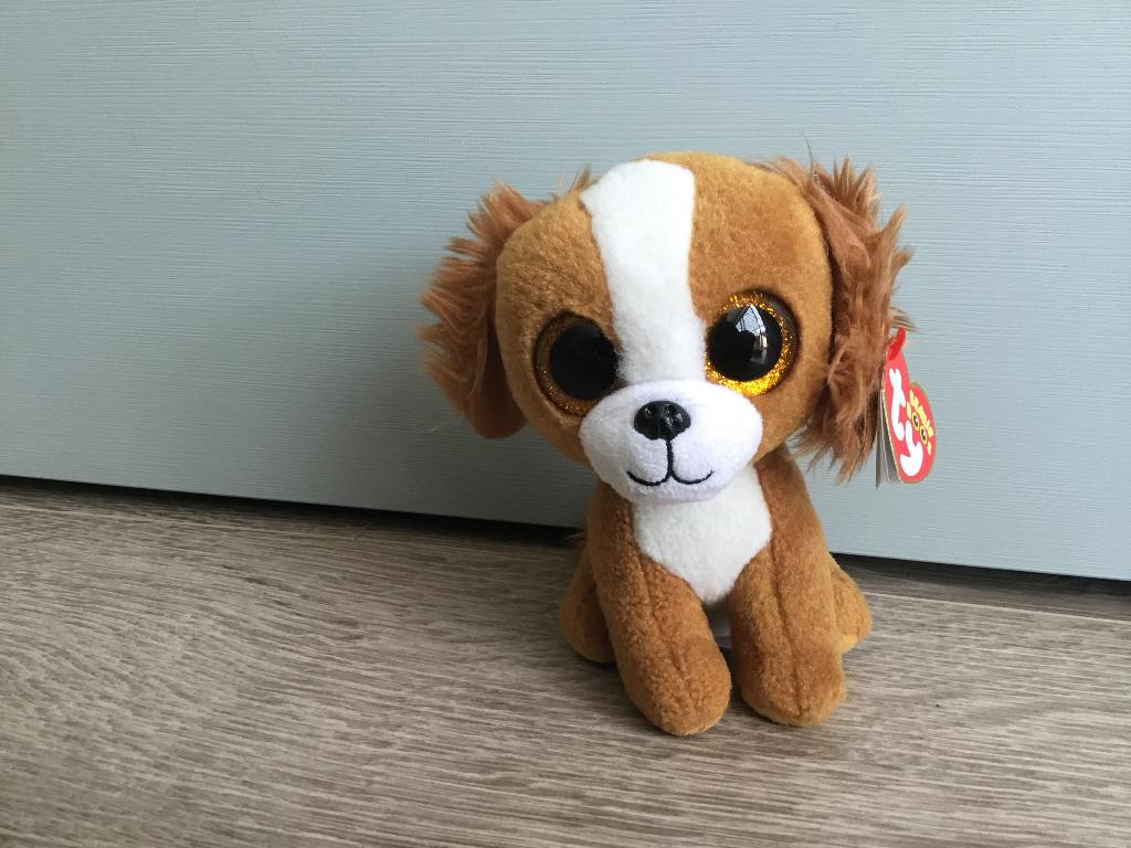 Beanie boo Ty hond 14cm, Ophalen, Overige karakters, Nieuw, Hond
