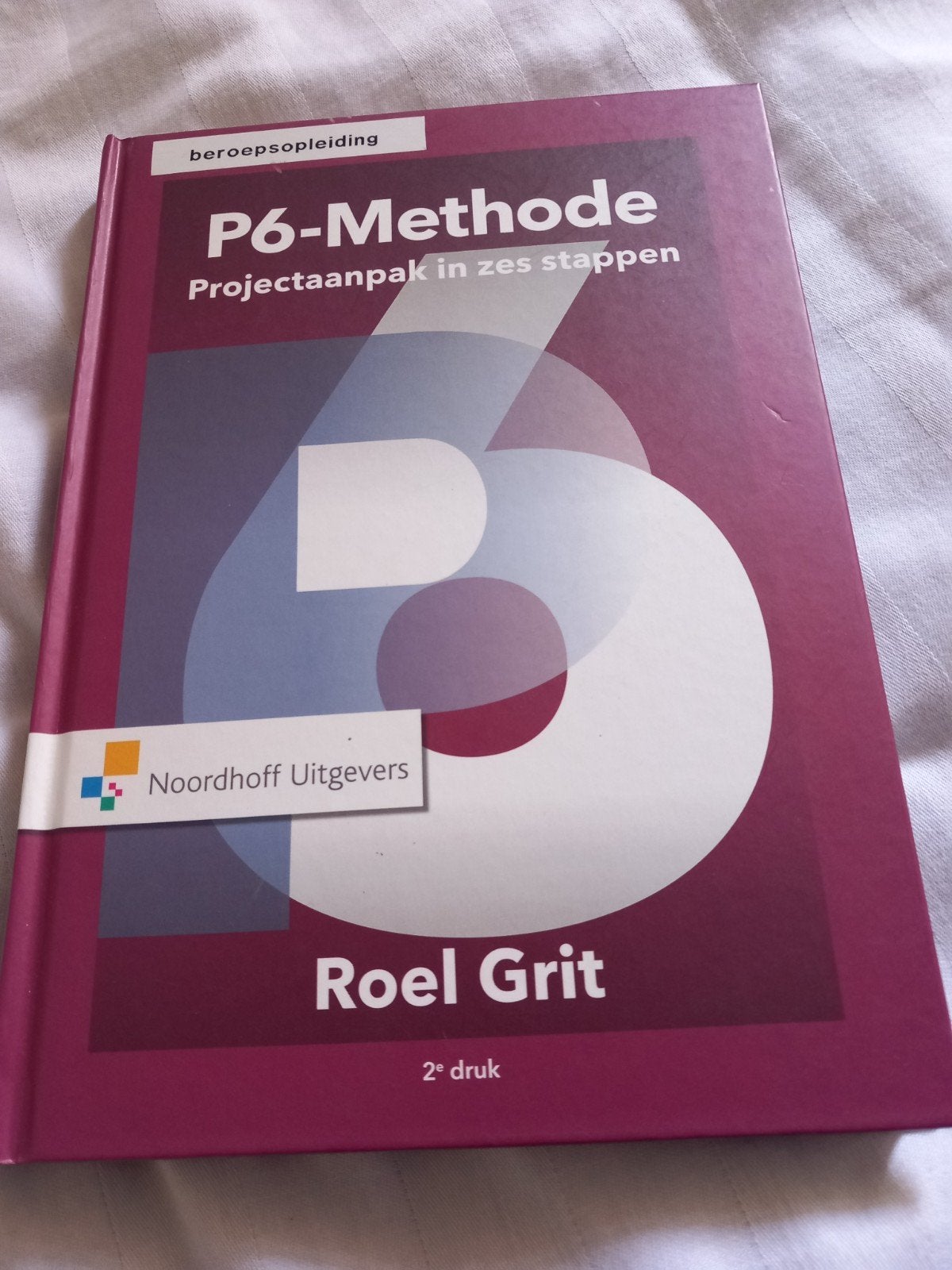 P6-Methode Projectaanpak in zes stappen - Roel Grit, Roel Grit, Zo goed als nieuw, Gamma, HBO