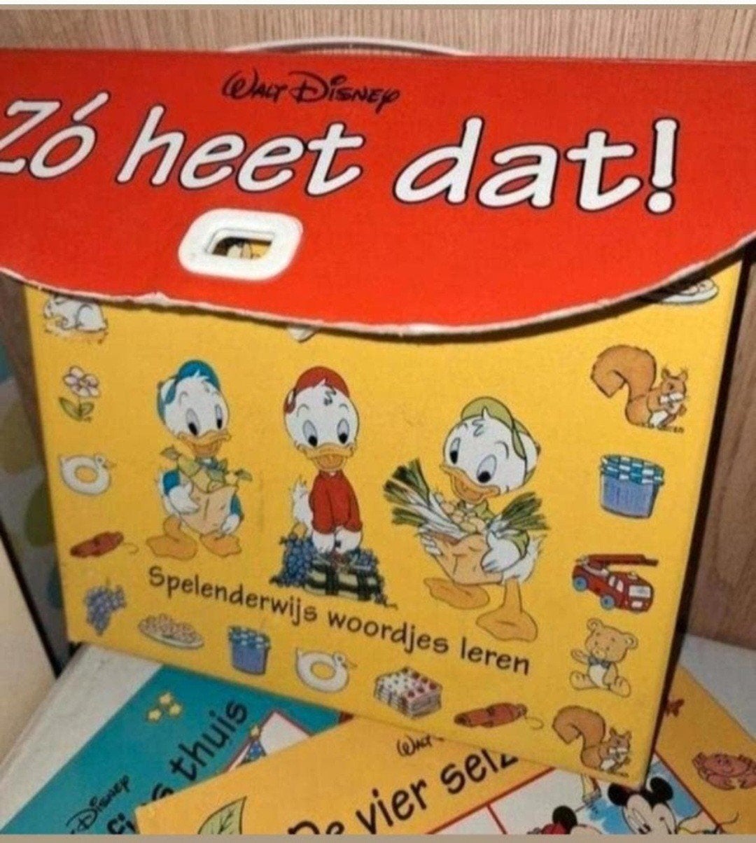 Walt Disney Zo Heet Dat! Woordjes Leren Boekenset, Boeken, Ophalen of Verzenden, Zo goed als nieuw