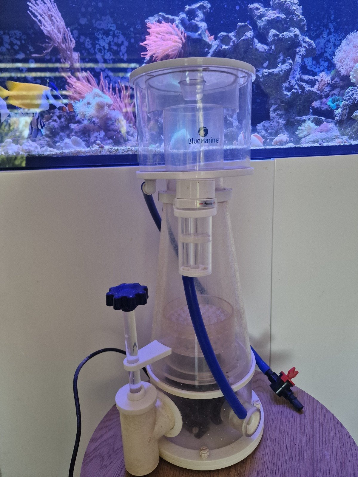 skimmer / afschuimer voor zee aquarium, Ophalen