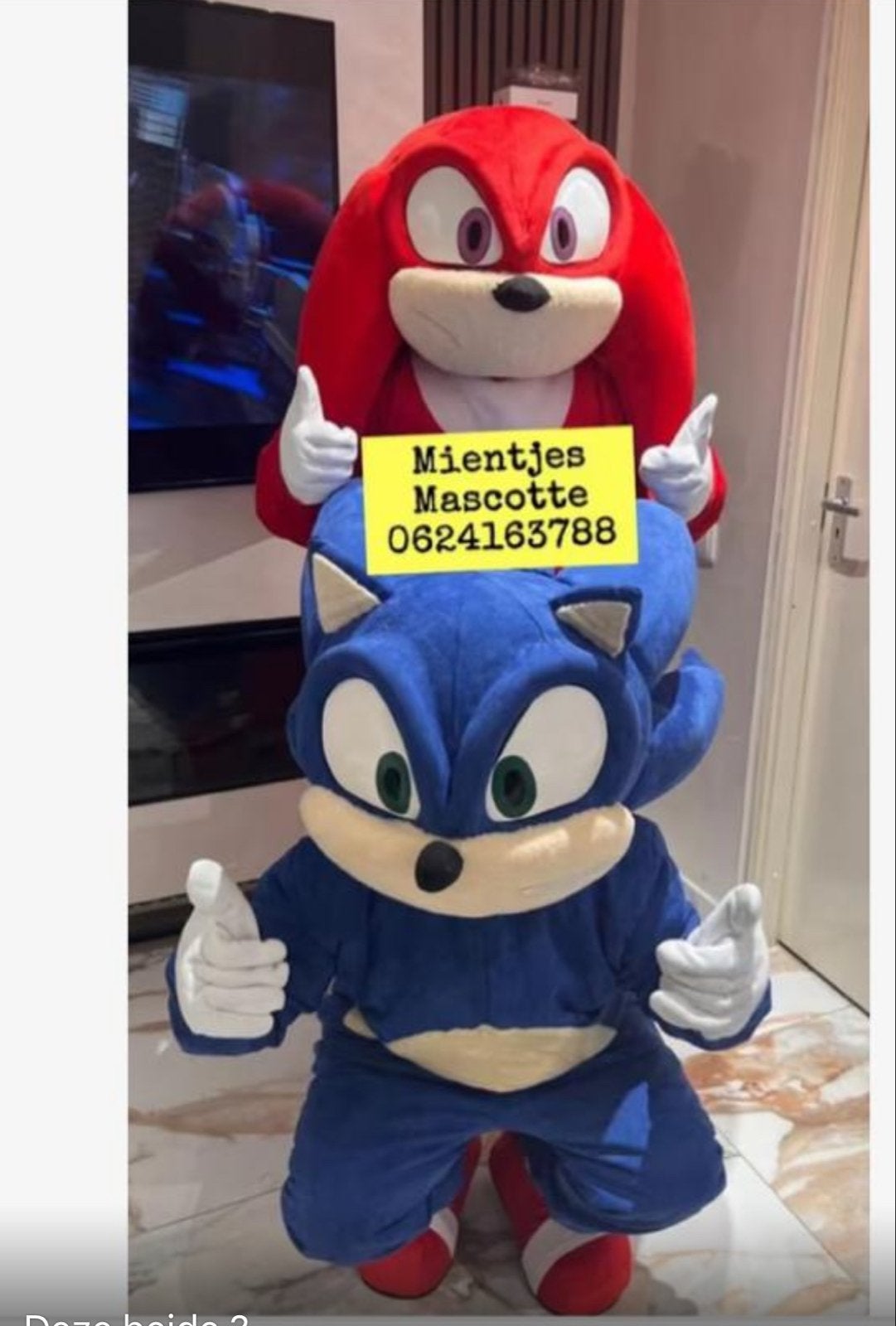 Sonic en Knuckles Mascotte mascotte te huur, Ophalen of Verzenden, Gebruikt, Kostuum, Verjaardag