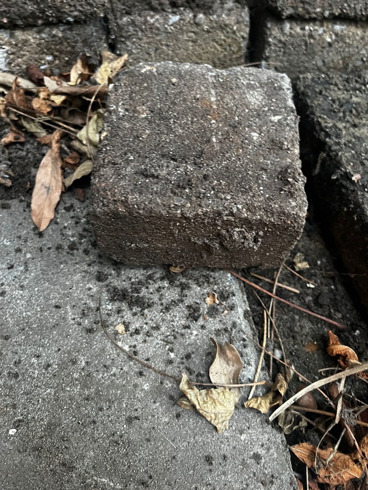 Gebruikte betontegels/klinkers voor tuin of terras, Ophalen, Overige materialen, Gebruikt, Minder dan 20 cm