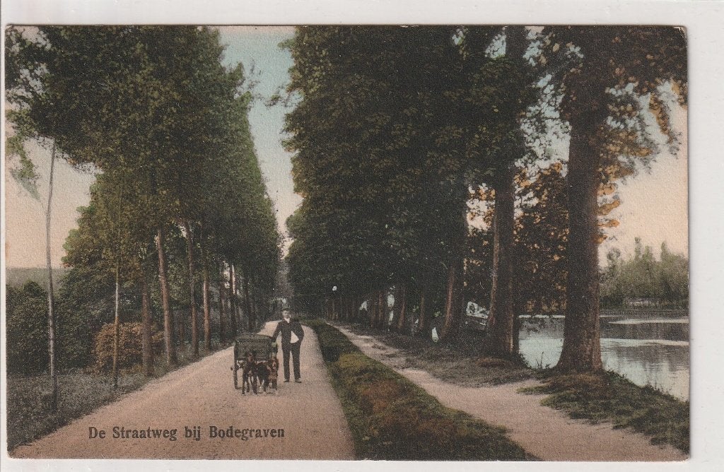 Bodegraven met hondenkar, Verzenden, Voor 1920, Gelopen, Zuid-Holland