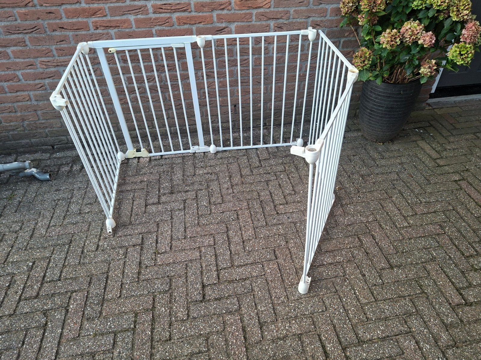 Wit hekje 75 cm hoog, Ophalen