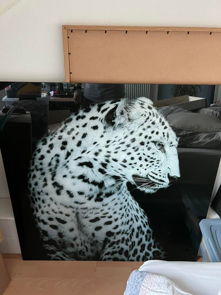 Schilder glas panter 100x100cm zwart-wit, Huis en Inrichting, Woonaccessoires | Schilderijen, Tekeningen en Foto's, Ophalen, Zo goed als nieuw