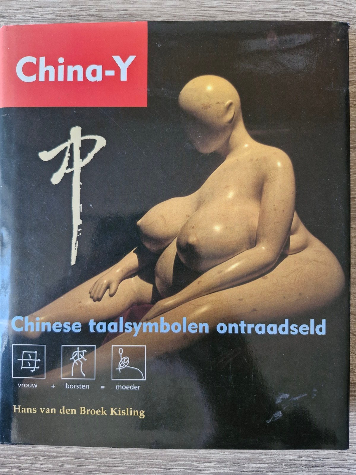 H. van den Broek Kisling - China-Y, Ophalen of Verzenden, Zo goed als nieuw, H. van den Broek Kisling