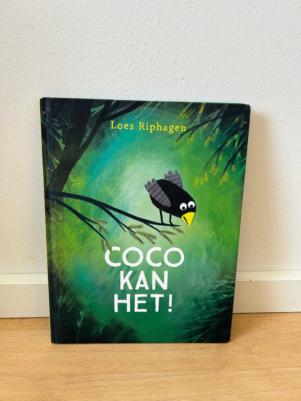 Coco Kan Het! - Loes Riphagen (Kinderboek), Fictie algemeen, Jongen of Meisje, Ophalen of Verzenden, Zo goed als nieuw