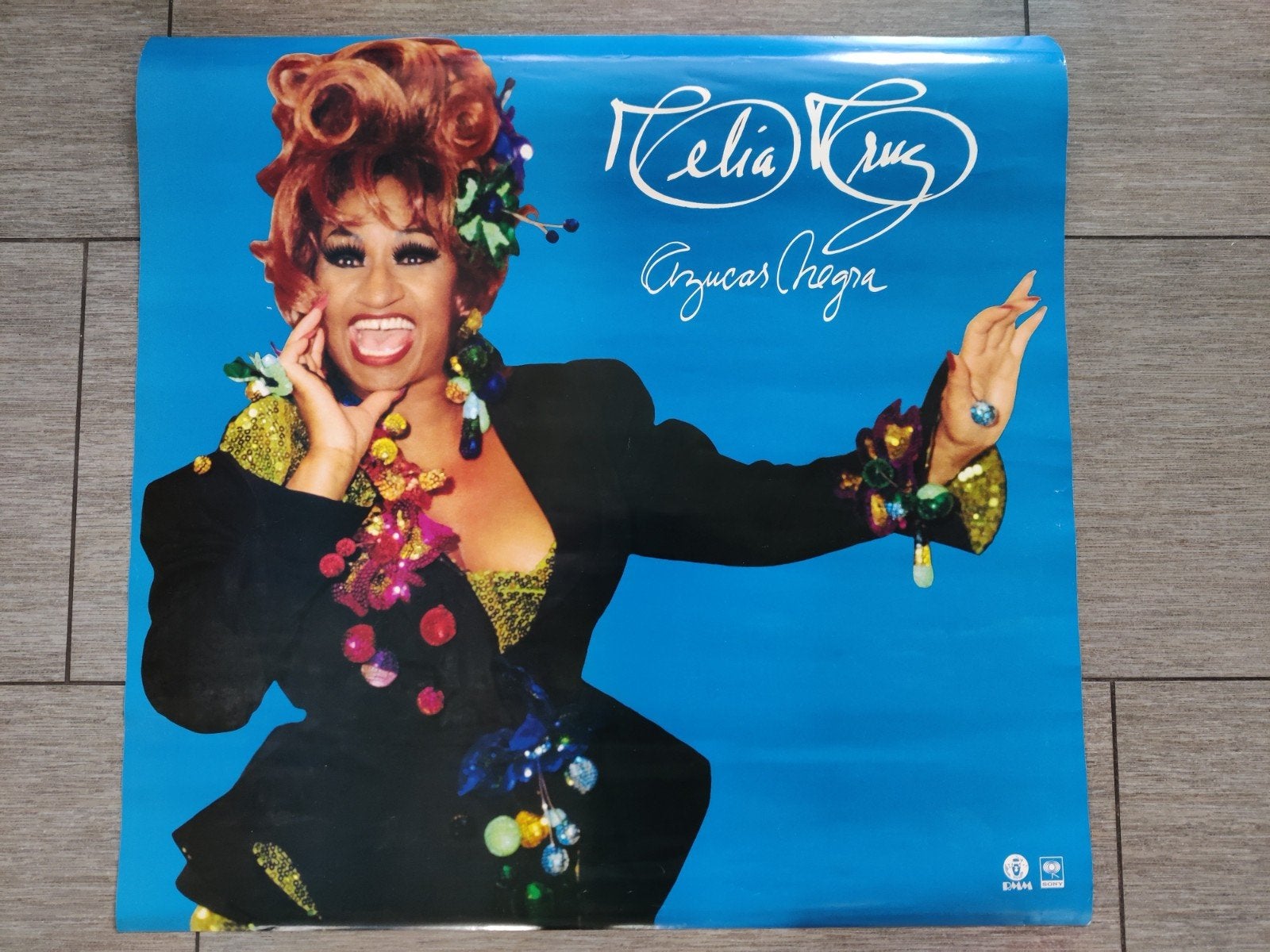 Celia Cruz poster - 60 x 62,5 cm, Ophalen, Zo goed als nieuw