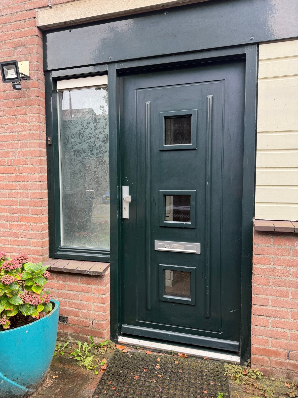 Intacte Buitendeur met Glaspanelen en Brievenbus, Doe-het-zelf en Verbouw, Ophalen, Gebruikt, 80 tot 100 cm, Buitendeur