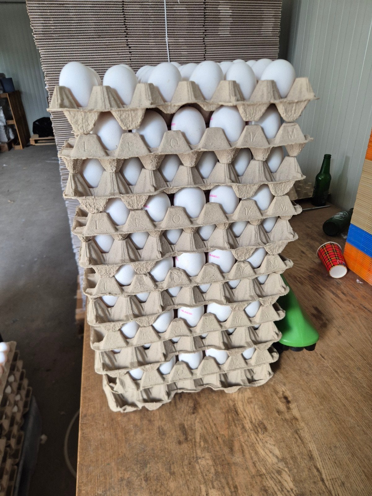 Verse witte eieren - Grote hoeveelheid beschikbaar, Ophalen of Verzenden