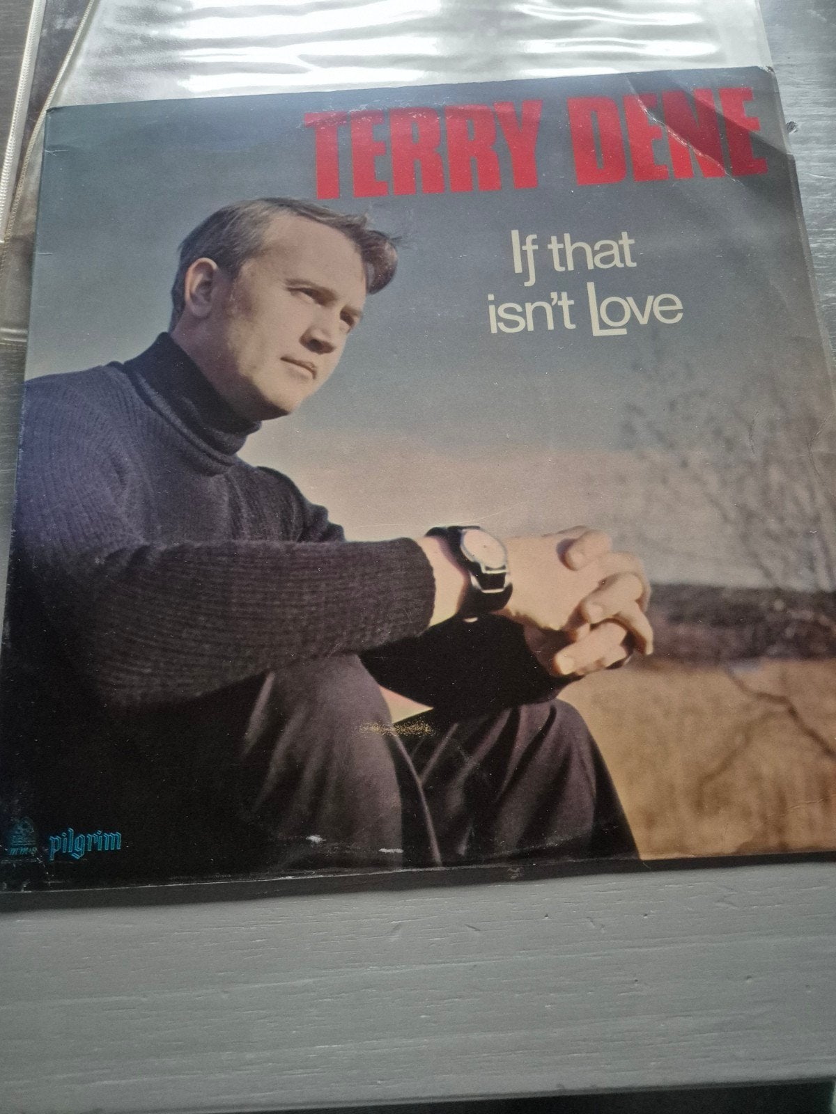 Terry Dene - If That Isn't Love LP (Pilgrim Records), Cd's en Dvd's, Vinyl | Pop, Ophalen