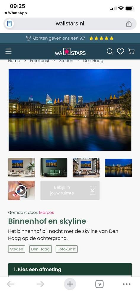 Binnenhof en skyline Den Haag van Wallstars + frame grijs!, Antiek en Kunst, Ophalen