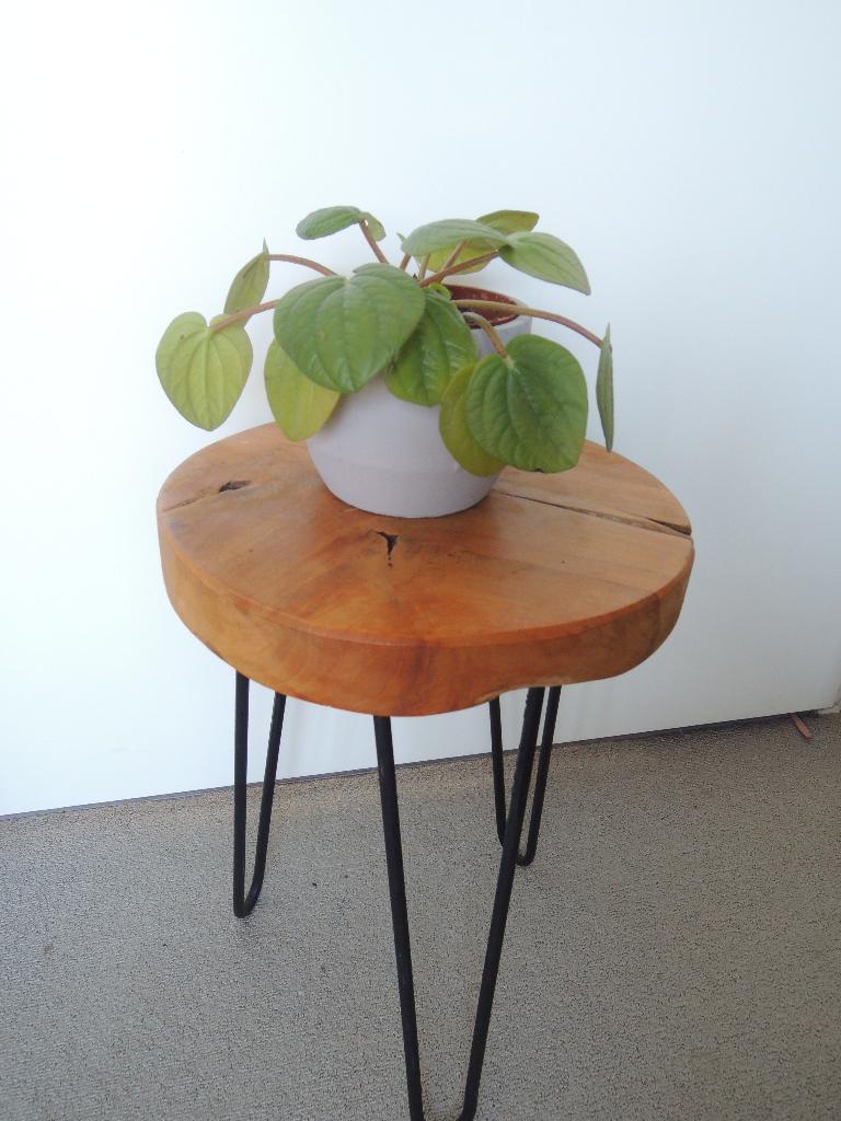 Hip Krukje Bijzettafeltje Plantentafel Boomstam, Ophalen, Minder dan 45 cm, Rond, Zo goed als nieuw