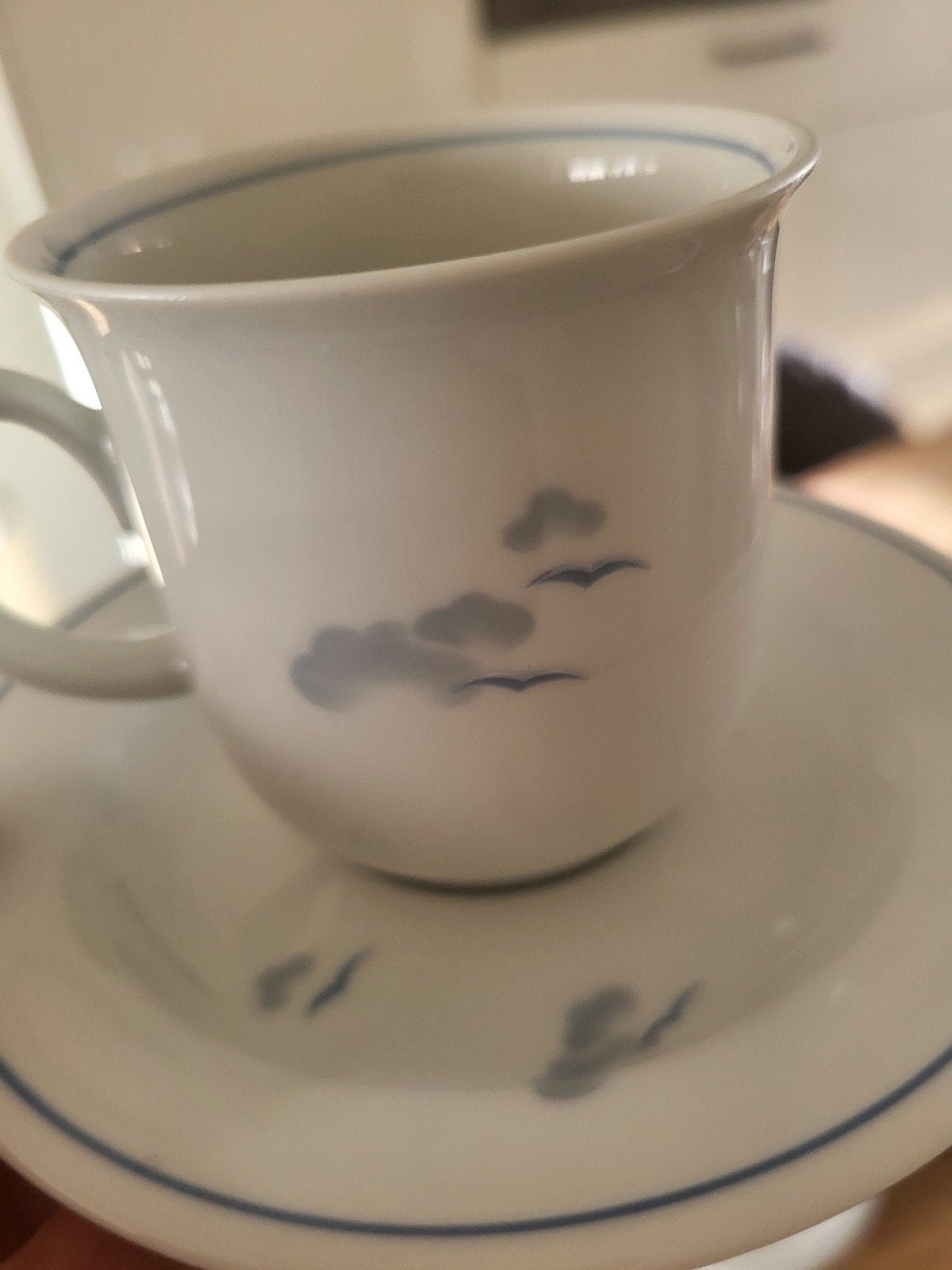 Porselein koffieservies Winterling Kirchenlamitz, Ophalen, Overige merken, Zo goed als nieuw, Overige stijlen