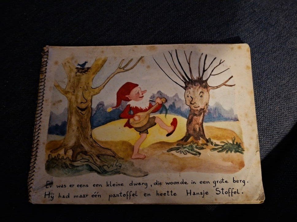 Hansje Stoffel, Boeken, Ophalen of Verzenden, Gelezen