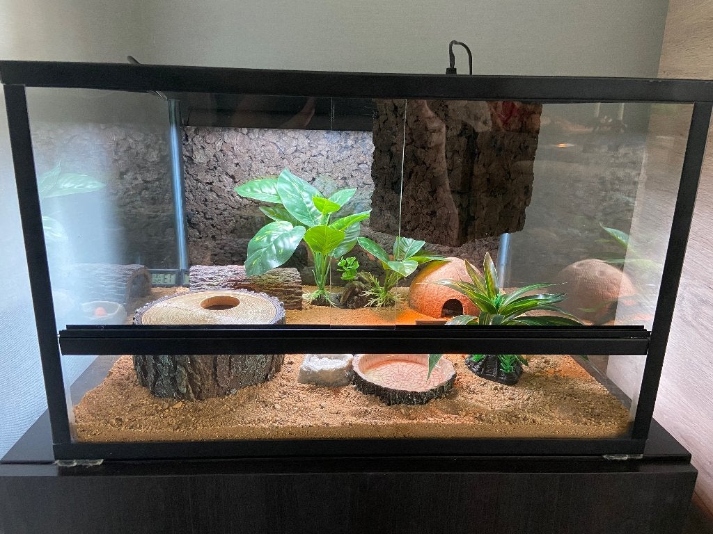 Terrarium, Ophalen, Zo goed als nieuw, Terrarium of Paludarium