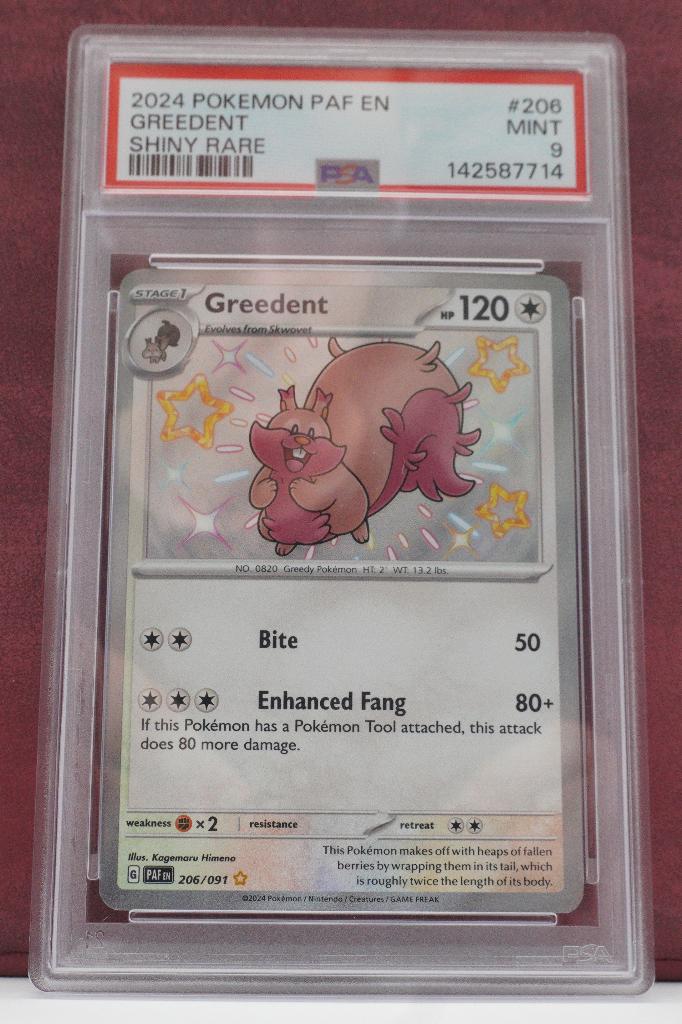 Greedent Baby Shiny 206/091 PSA 9 Paldean Fates Pokémon, Verzenden, Nieuw, Losse kaart
