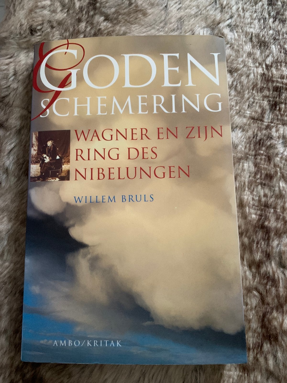 Willem Bruls - Godenschemering, Ophalen of Verzenden, Gelezen, Willem Bruls
