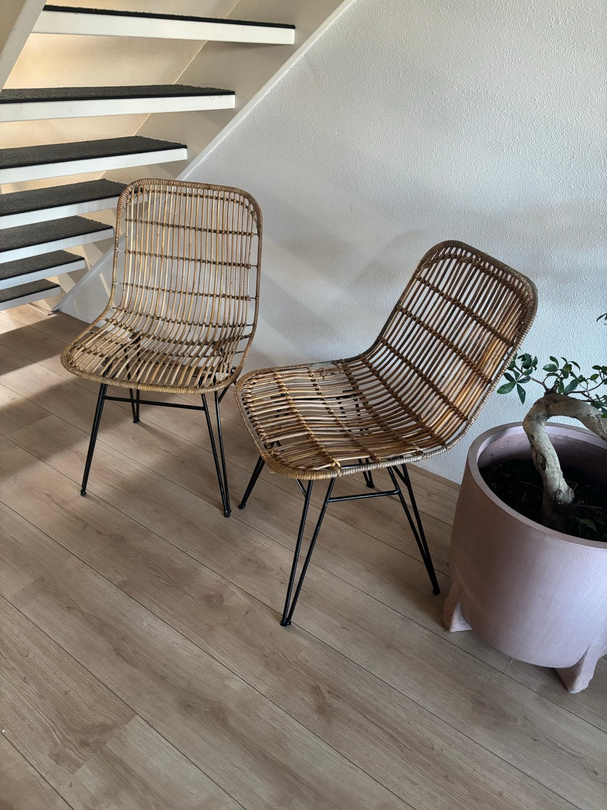 Sissy-Boy stoelen - 2 stuks - rotan met metalen onderstel, Ophalen, Gebruikt, Twee, Bruin