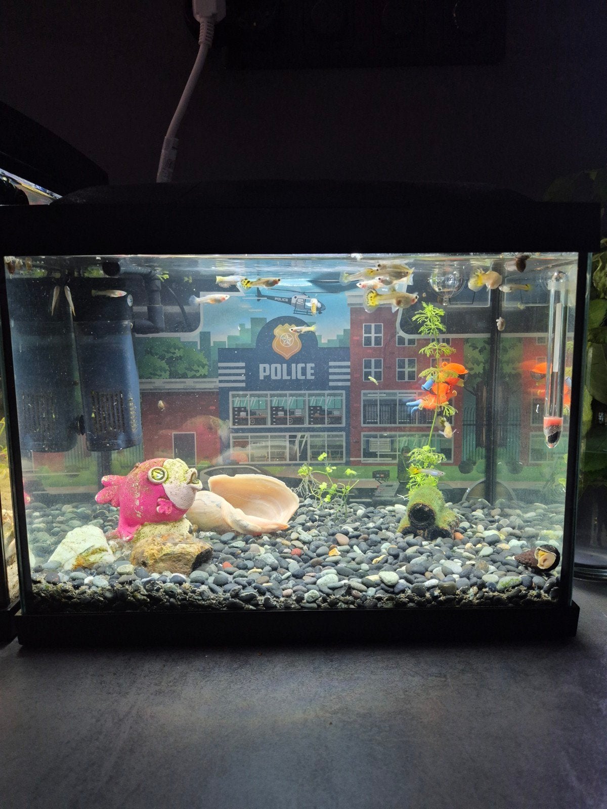 Aquarium, verlichting, ornament roze vis, Ophalen, Zo goed als nieuw, Gevuld zoetwateraquarium