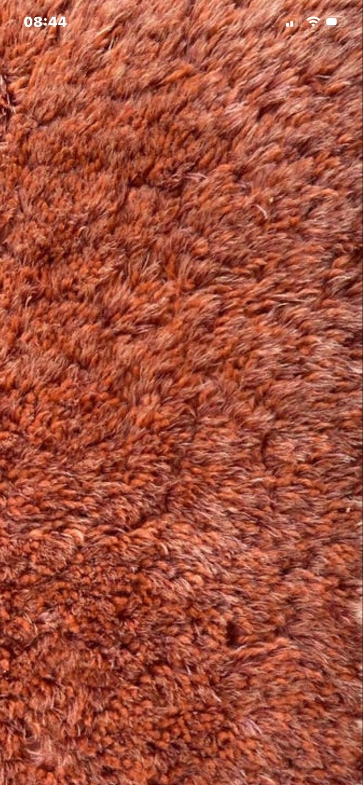 Danskina vloerkleed 200 x 300 cm, Ophalen, Gebruikt, Oranje, 200 cm of meer