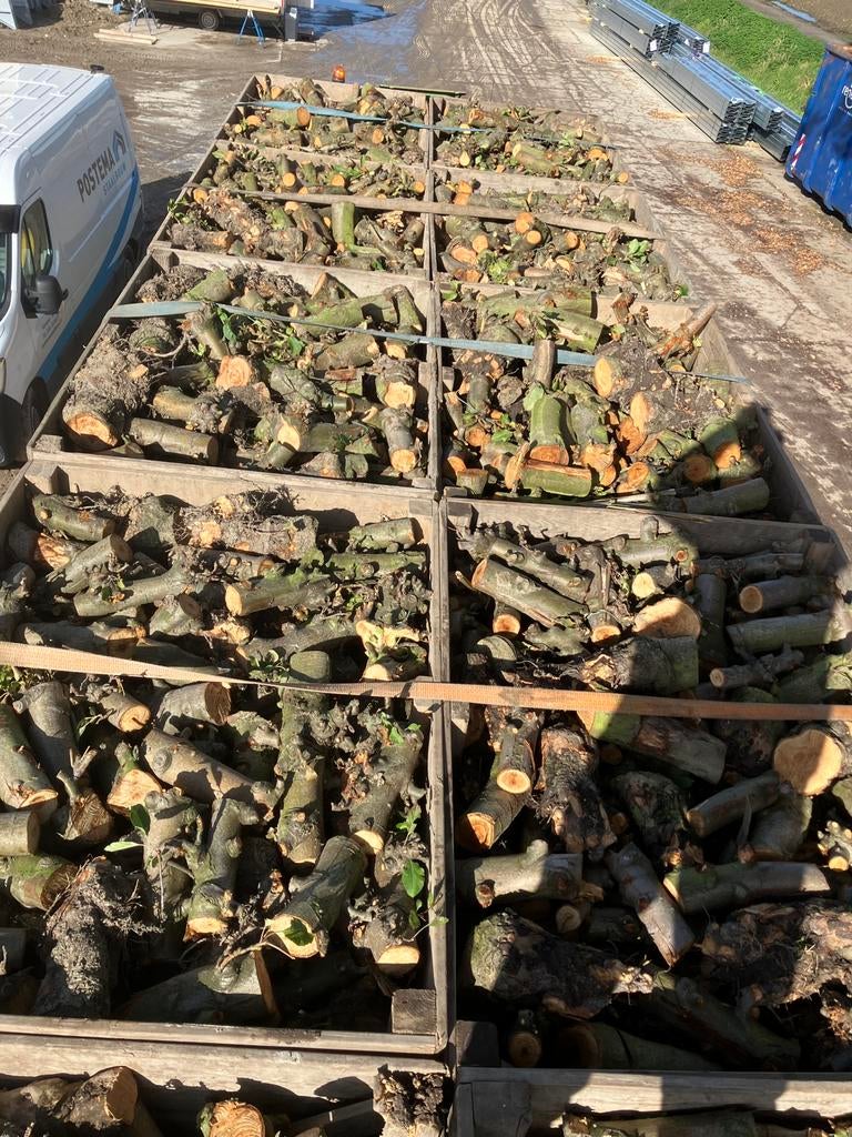 Haardhout appelhout, 6 m³ of meer, Ophalen of Verzenden, Overige houtsoorten, Blokken