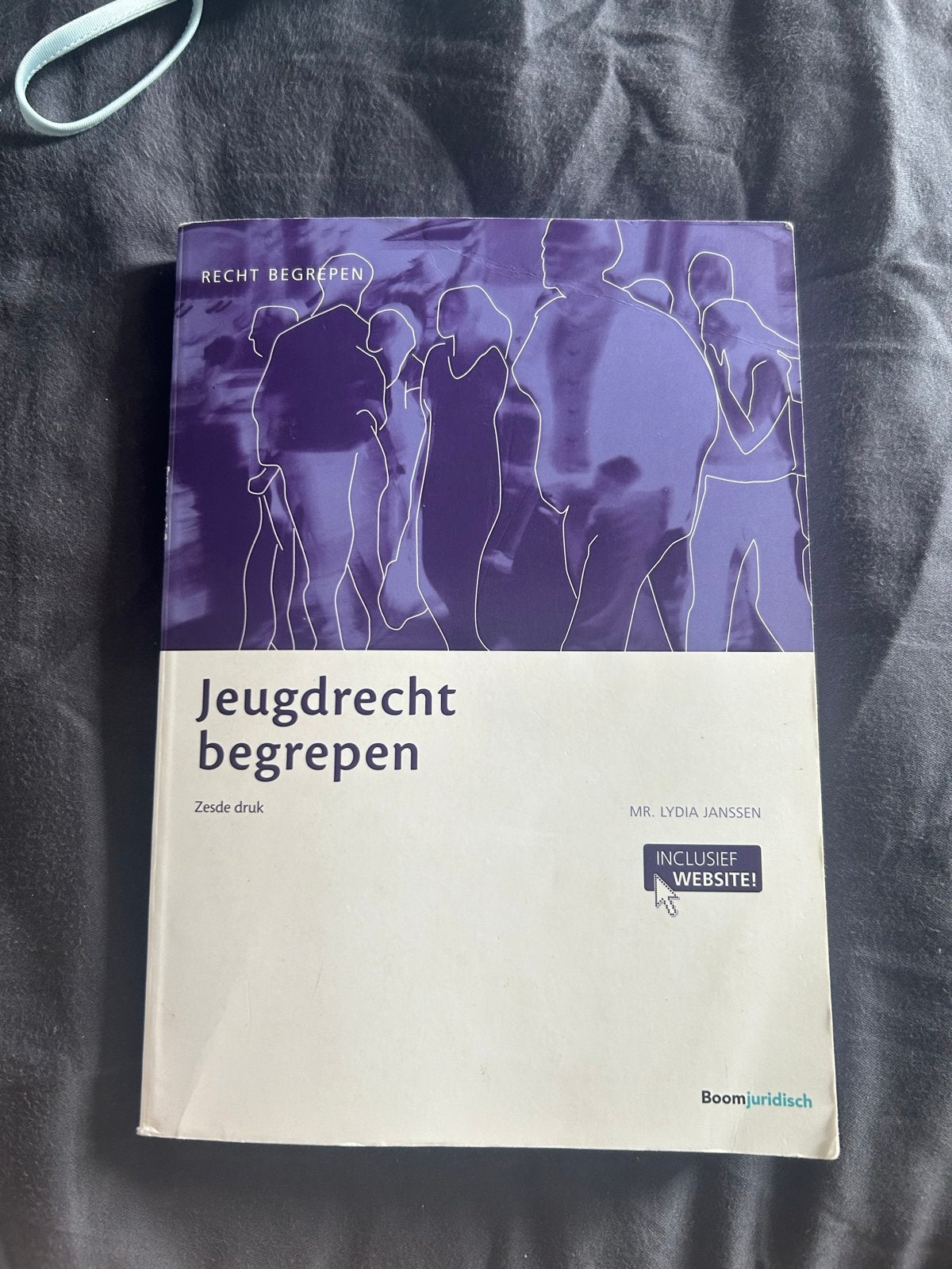 Jeugdrecht begrepen - Zesde druk, Boeken, Studieboeken en Cursussen, Ophalen, Gamma, Zo goed als nieuw, MBO