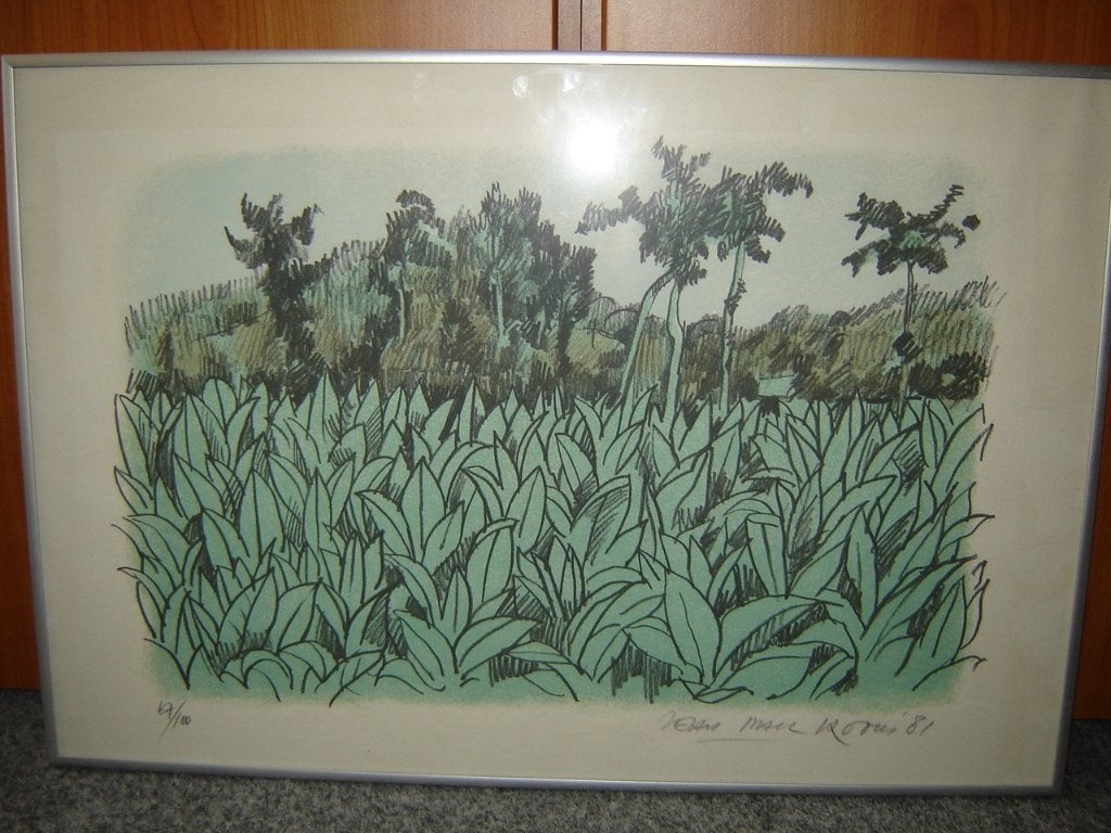 modern schilderij/litho van Jean Marc, Ophalen of Verzenden, Zo goed als nieuw