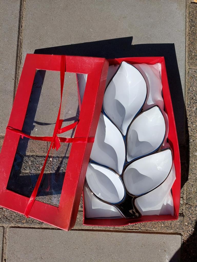 Decoratieve hapjes schaal in bladvorm - Nieuw in doos, Keramiek, Nieuw, Ophalen of Verzenden, Schaal of Schalen