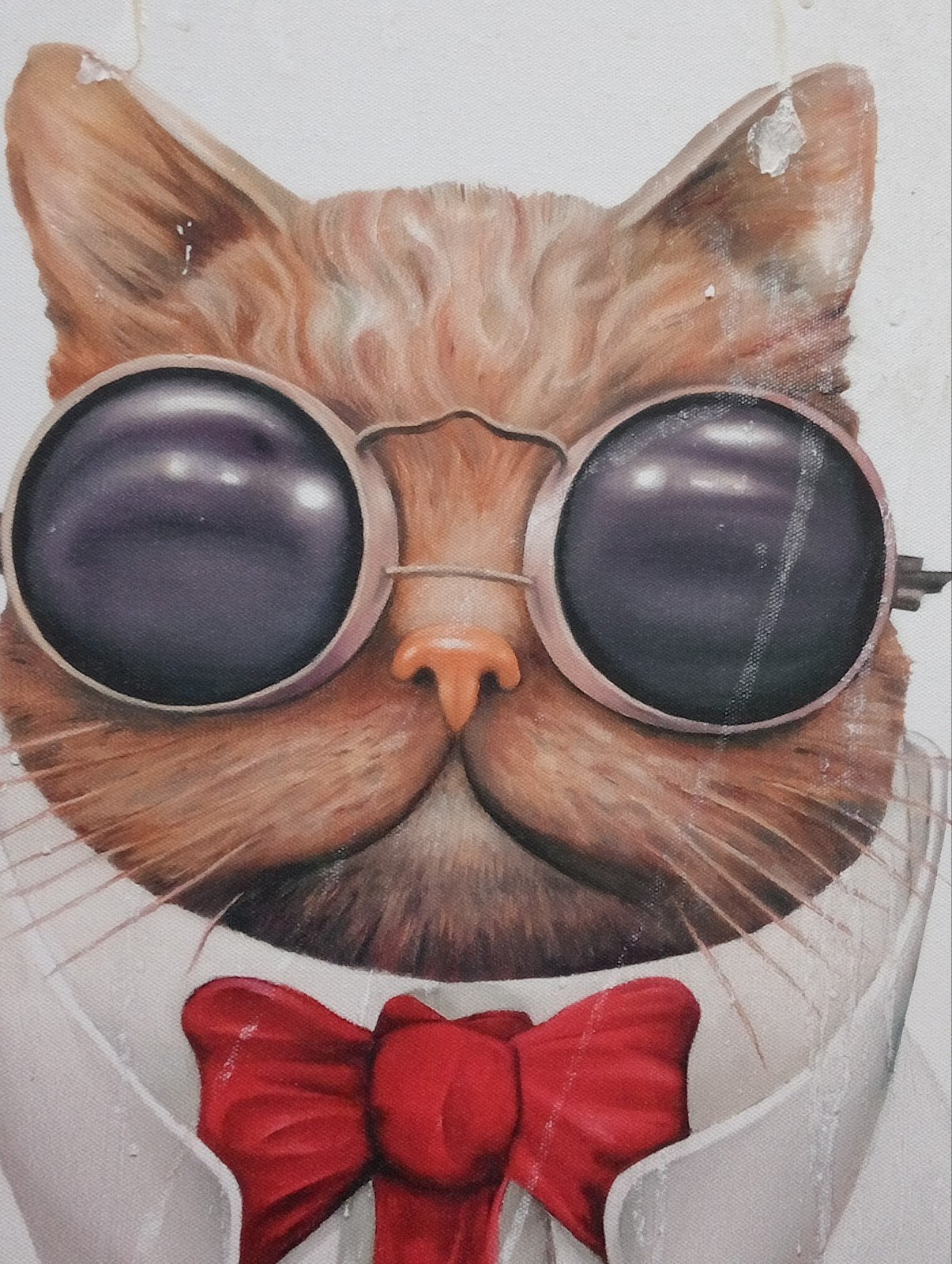 Cool Cat print op canvas Kat met zonnebril, Gebruikt, ., Ophalen of Verzenden, Print