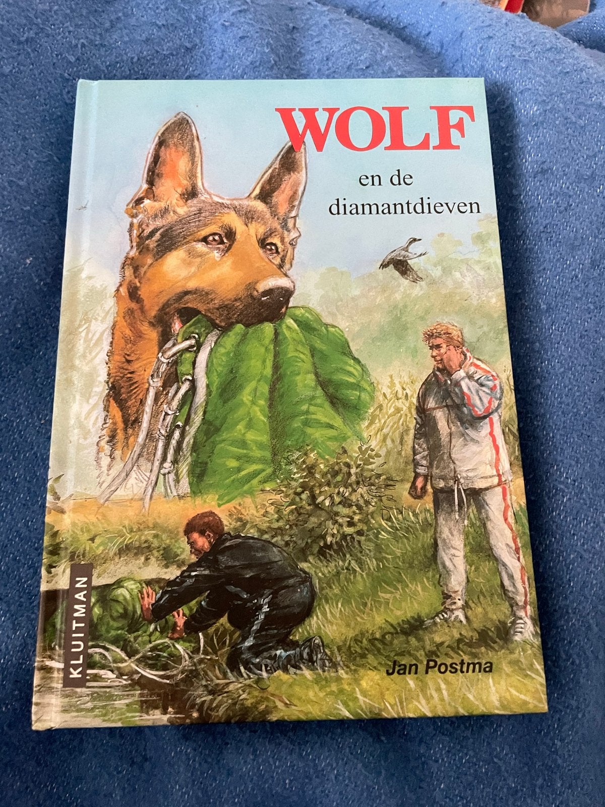 Jeugdboek: Wolf en de diamantdieven – Jan Postma, Ophalen of Verzenden, Zo goed als nieuw, Fictie