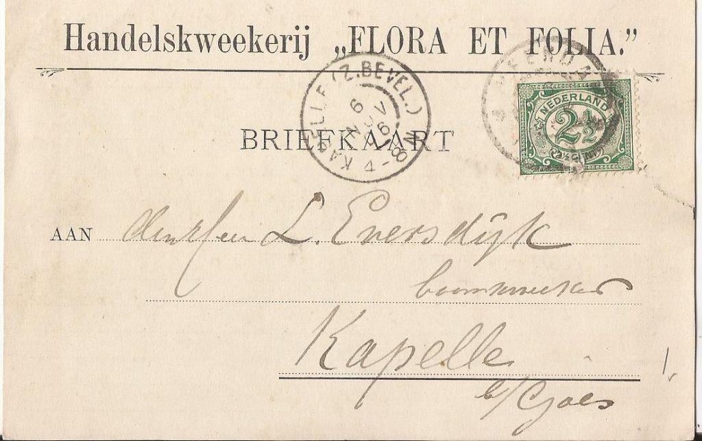 VEENDAM 1906 Egb. KLOOSTERHUIS kwekerij FLORA en FOLIA, Ophalen of Verzenden, Voor 1920, Gelopen, Groningen