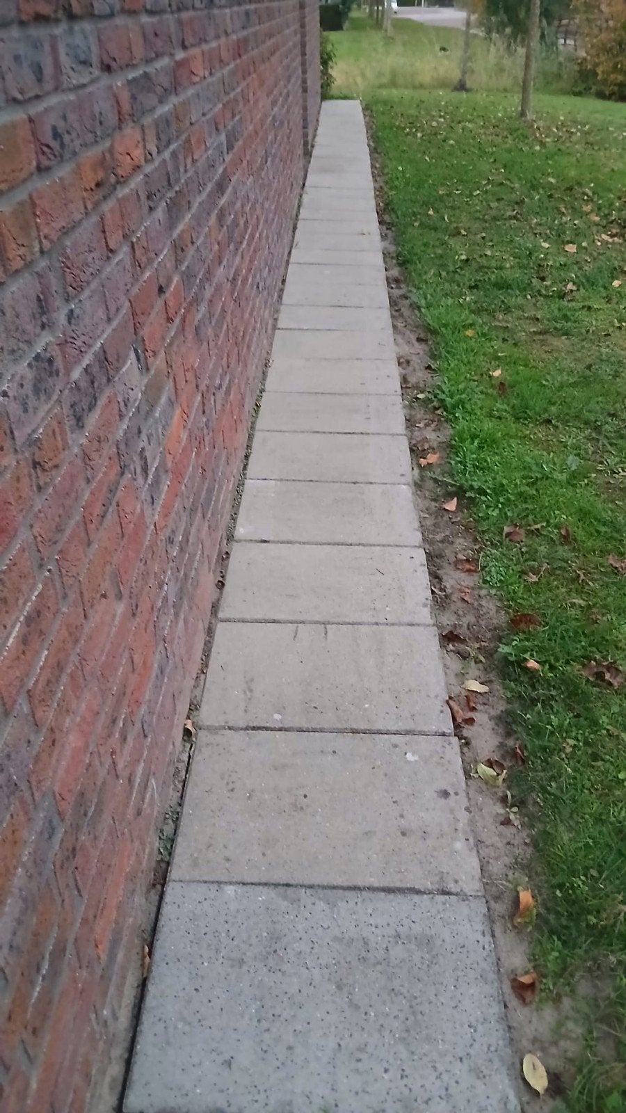 32 m2 Beton tegels 60x40x5 cm - Ideaal voor terras of pad, Tuin en Terras, Ophalen, Gebruikt, Beton, Terrastegels