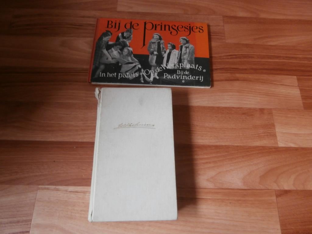 koninklijk huis Bij de prinsesjes Wilhelmina Eenzaam Have, Ophalen of Verzenden, Gebruikt, Nederland, Tijdschrift of Boek