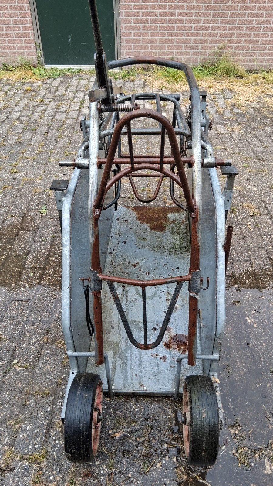 Kantelbox voor schapen, Vrouwelijk, Schaap
